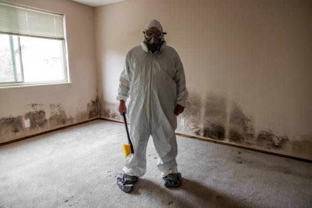 Mold Documentation for Insurance Claims in Chickasha, OK